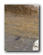 Click to enlarge this image